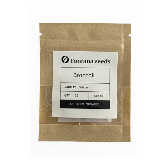 Organic Broccoli Seeds