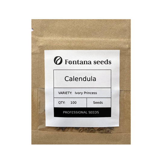 Calendula Ivory Princess Seed Size