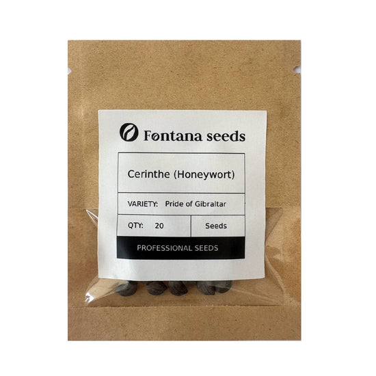 Cerinthe (Honeywort) Seeds
