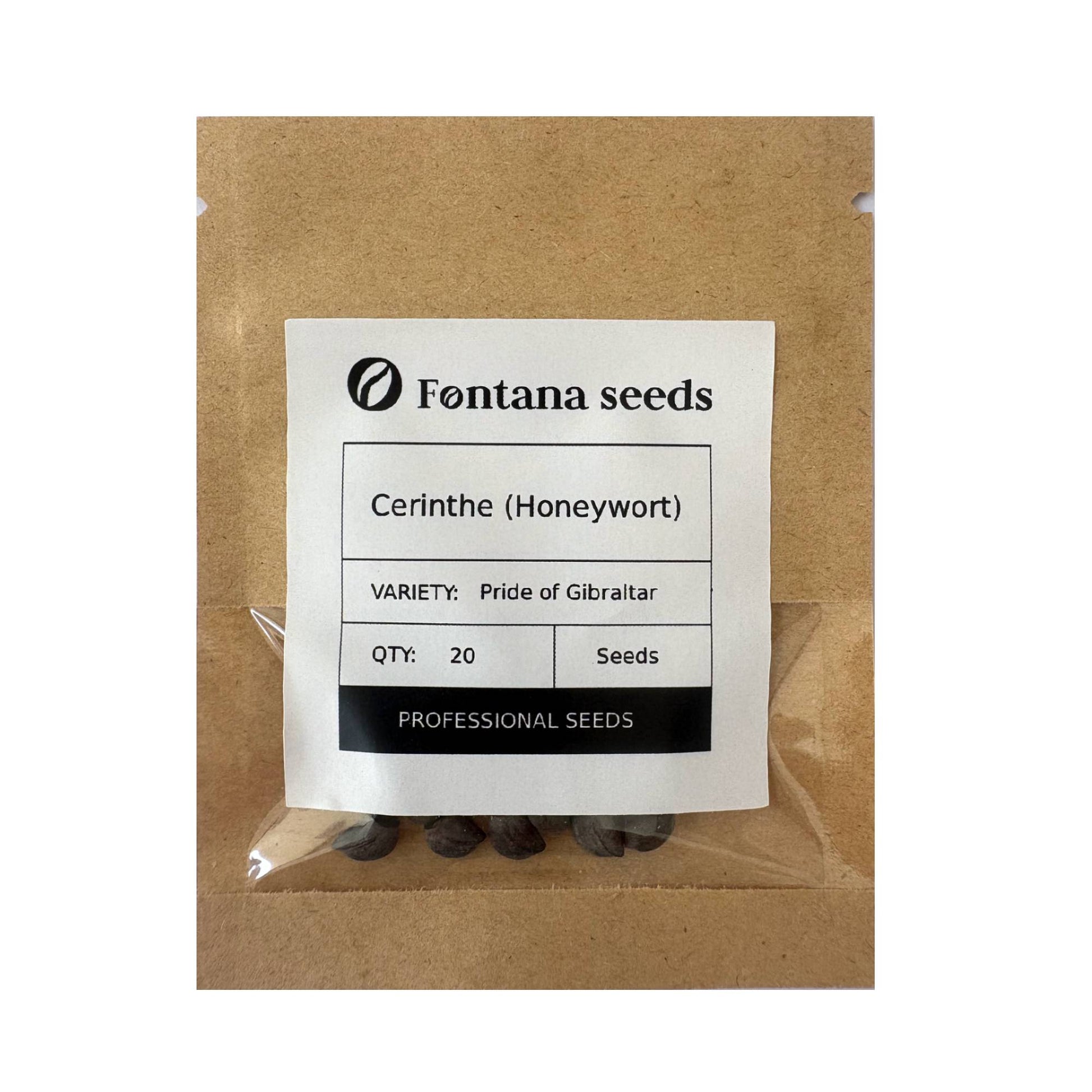 Cerinthe (Honeywort) Seeds