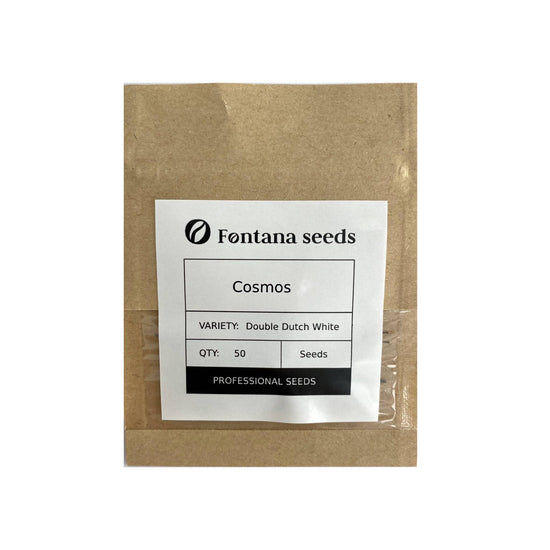 Cosmos Double Dutch White Seed Pack