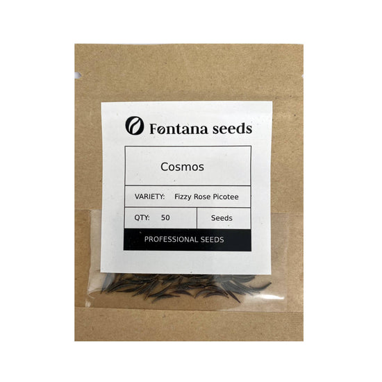 Cosmos Fizzy Rose Picotee Seed Pack
