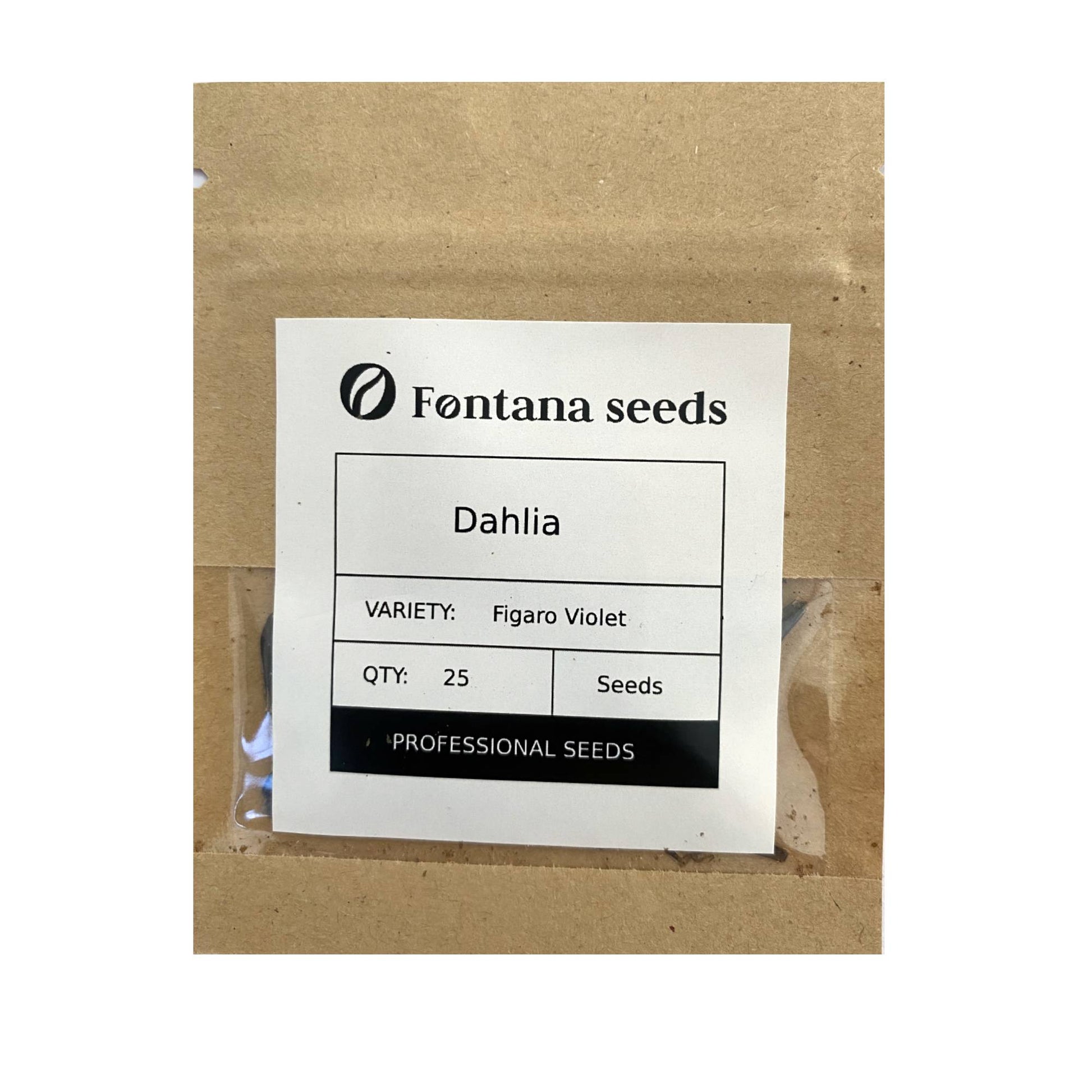 Dahlia Figaro Violet Seed