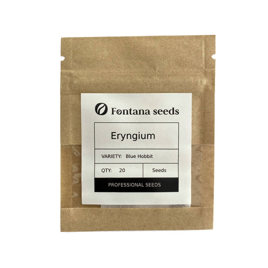 Eryngium Seeds Blue Hobbit