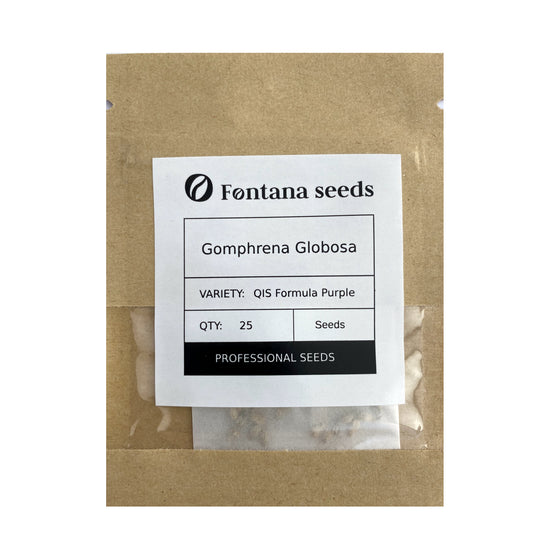 Gomphrena Purple Seeds