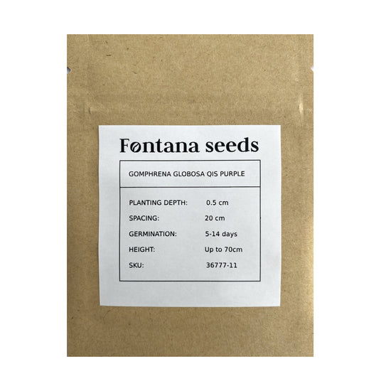 Gomphrena Purple Seed