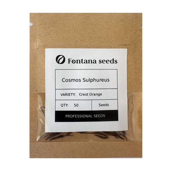 Grow Cosmos Sulphureus Seeds