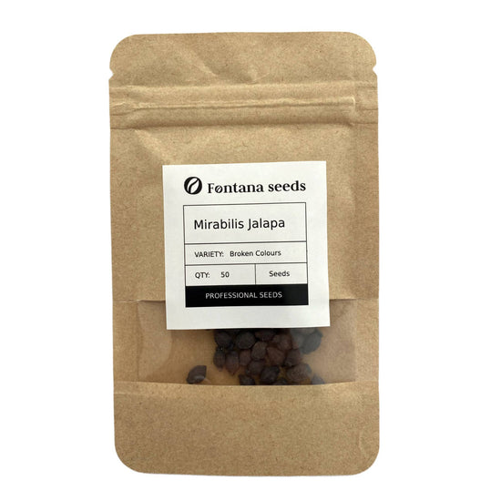 Mirabilis Jalapa Broken Colors Seeds Pack