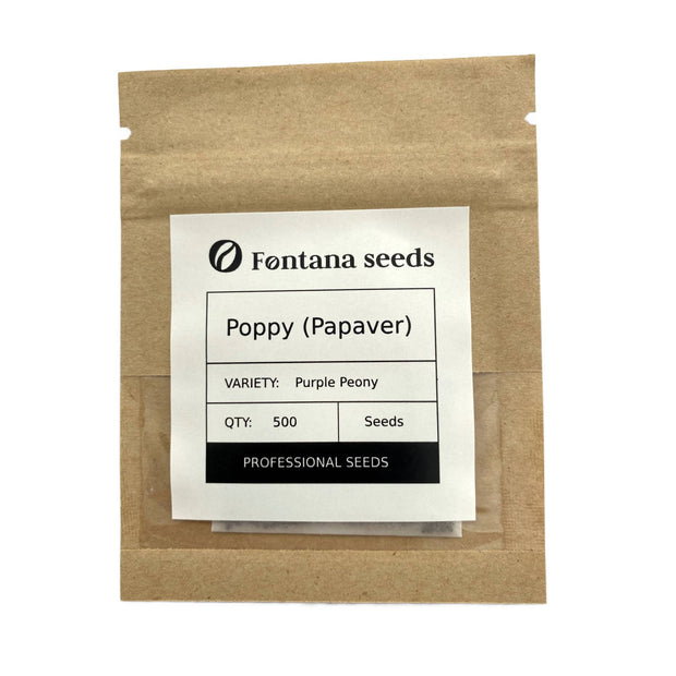 Poppy Purple Peony Flower Seed