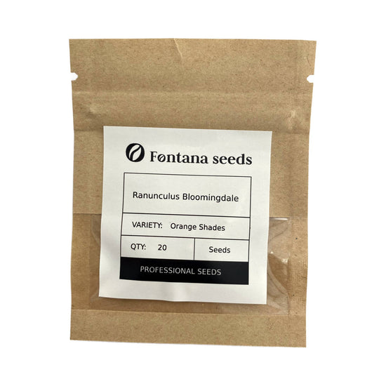 Ranunculus Bloomingdale Seeds - orange shades