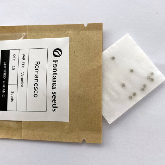 Romanesco Veronica Seeds Bio