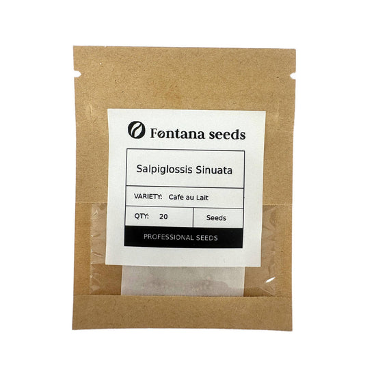 Salpiglossis Cafe au Lait Seeds