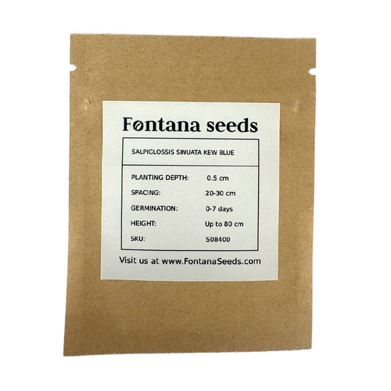 Salpiglossis Kew Blue Seed