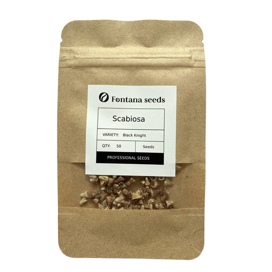 Scabiosa Seeds - Black Knight