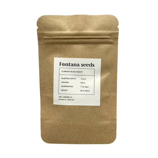 Scabiosa Flower Seed - Black Knight