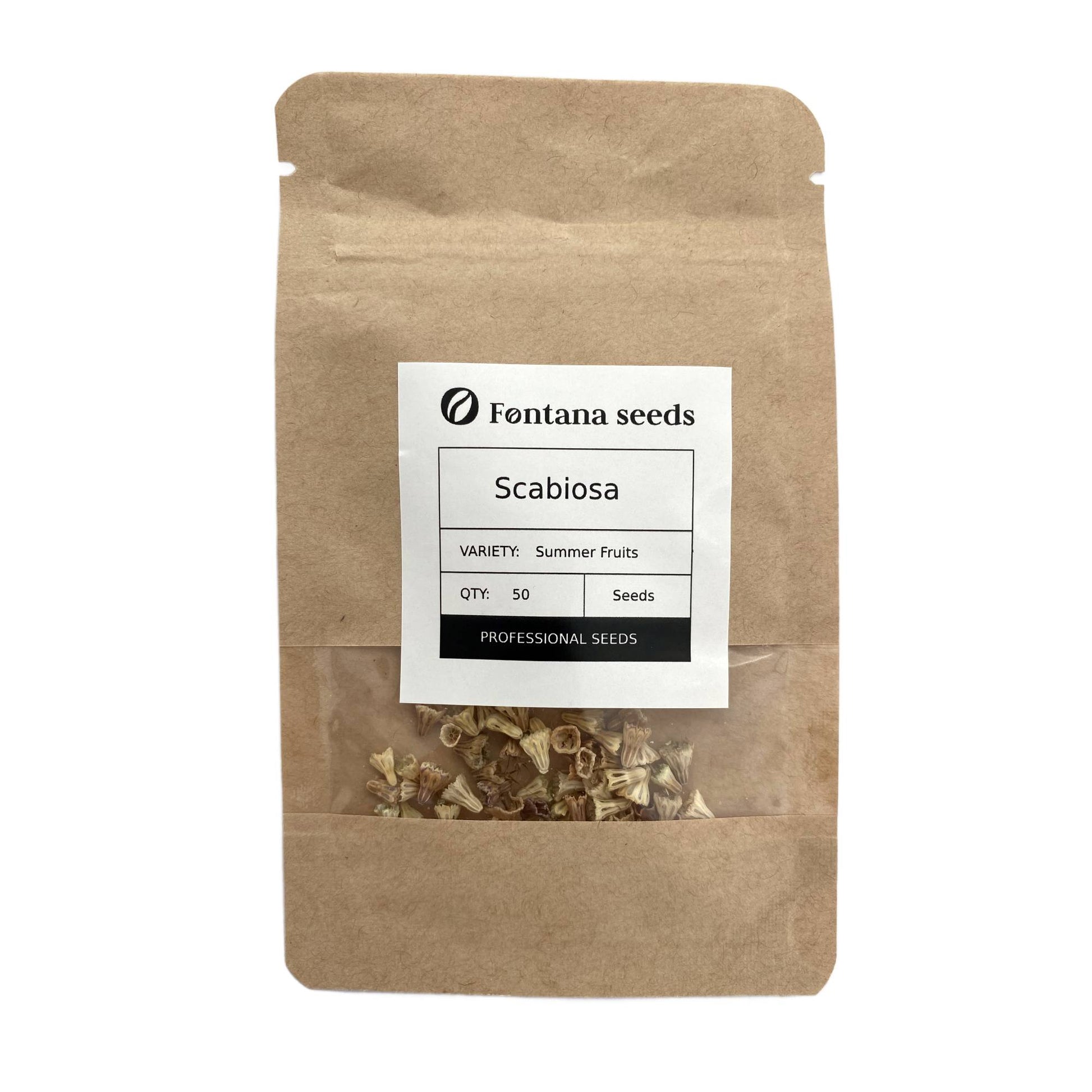 Scabiosa Flower Seed  Summer Fruits