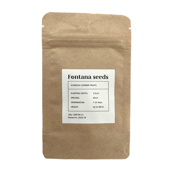 Scabiosa Seeds - Summer Fruits