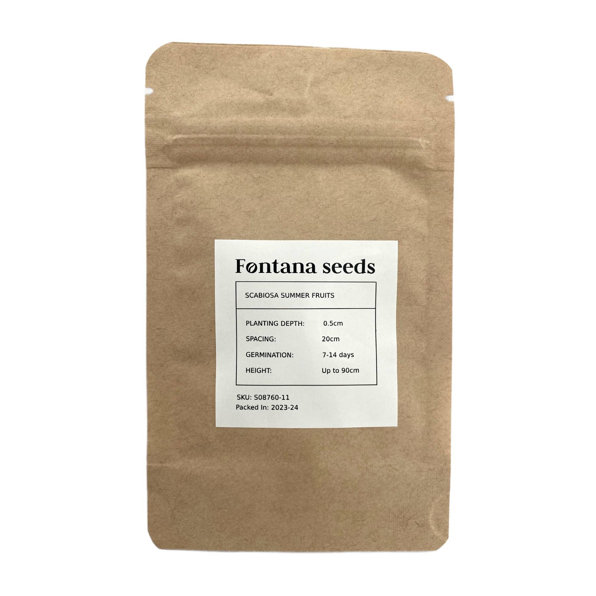 Scabiosa Seeds - Summer Fruits