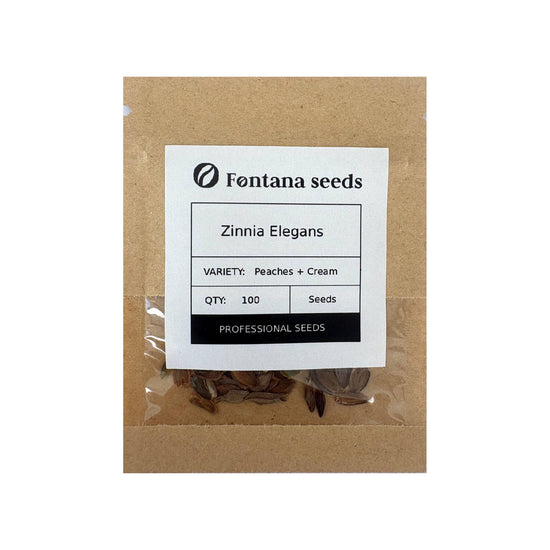 Zinnia Peaches and Cream Seed